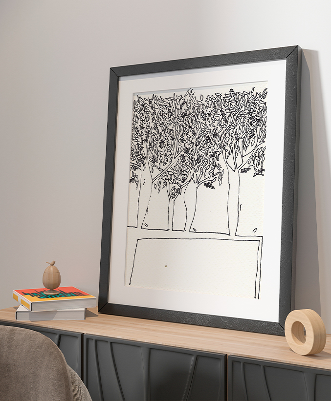 12 Alberi