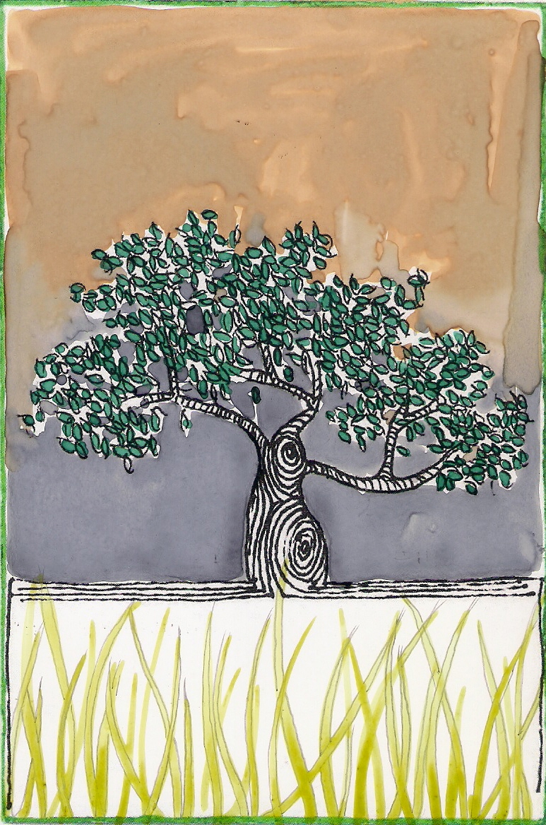 Albero della Vita – Cartoline #37