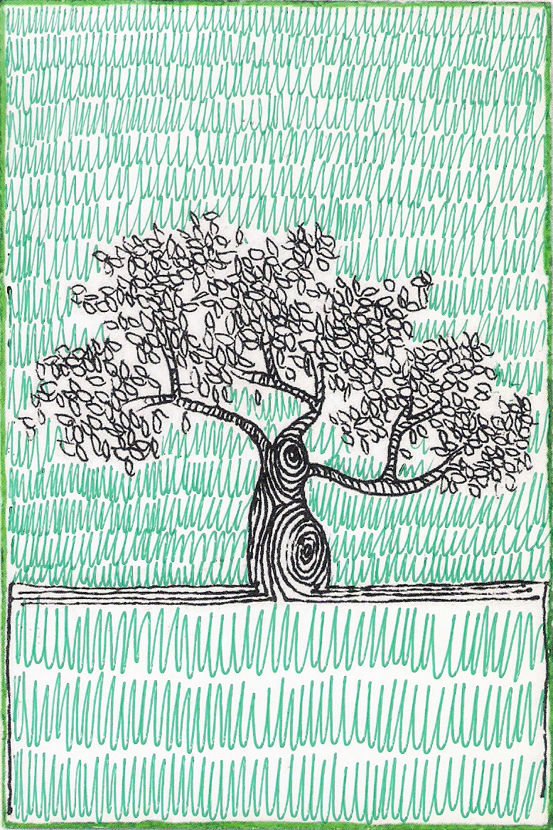 Albero della Vita – Cartoline #41